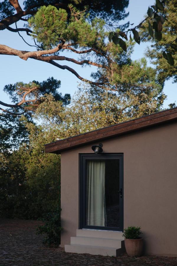 A Padaria Farmhouse シンファンイス エクステリア 写真